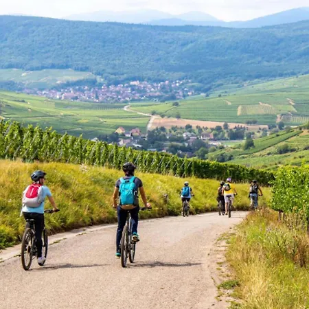 Cosy Avec Petit-dejeuner Inclus Parking Prive & Box Velo Sur La Route Des Vins * Issenheim