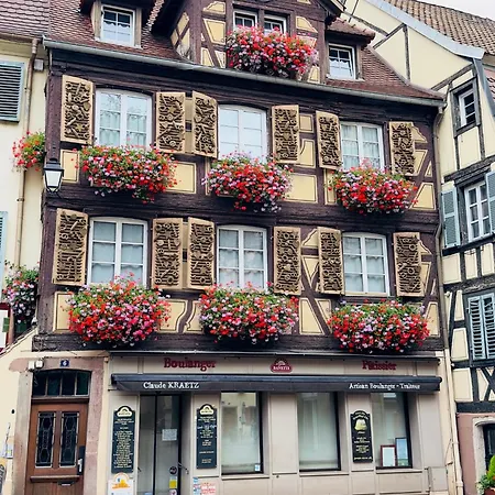 Cosy Avec Petit-dejeuner Inclus Parking Prive & Box Velo Sur La Route Des Vins Issenheim