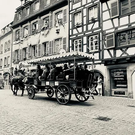 Cosy Avec Petit-dejeuner Inclus Parking Prive & Box Velo Sur La Route Des Vins Issenheim