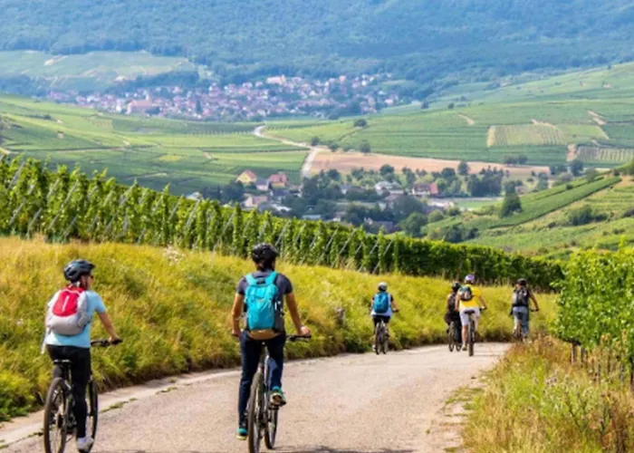 Cosy Avec Petit-dejeuner Inclus Parking Prive & Box Velo Sur La Route Des Vins * Issenheim