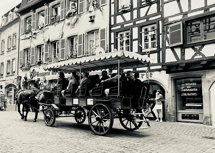 Cosy Avec Petit-dejeuner Inclus Parking Prive & Box Velo Sur La Route Des Vins Issenheim